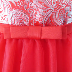 Flower Girls Dress Illusion Yoke Pageant Coffe Wedding Party Size 6-14 Years