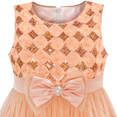 Girls Dress Flower Tulle Pleated Wedding Party Size 2-14 Years