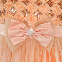 Girls Dress Flower Tulle Pleated Wedding Party Size 2-14 Years