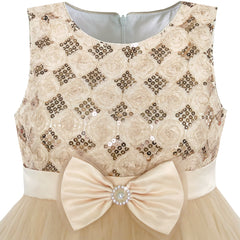 Girls Dress Flower Tulle Pleated Wedding Party Size 2-14 Years