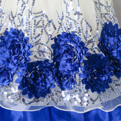 Flower Girls Dress Sequin Dimensional Flowers Bow Tie Pageant Size 7-14 Years