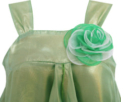 Girls Dress Shinning Satin Tulle Halloween Party Flower Size 4-14 Years