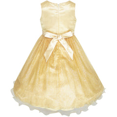 Flower Girls Dress Champagne Crown Gloves Wedding Party Size 3-14 Years