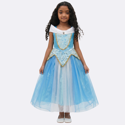 Sunny Fashion Girls Blue Princess Tulle Dress with Gold Trim Costume Gown