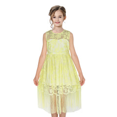 Girls Dress Blush Flapper Vintage 1920s Tassel Lace Size 6-16 Years