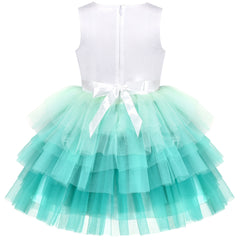 Girls Dress Birthday Princess Ruffle Dress Cake Balloon Print Size 1-10 Years