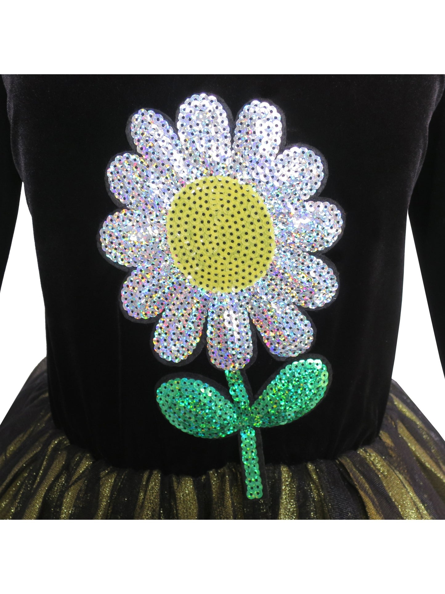 Girls Dress Flower Embroidered Long Sleeve Tulle Dress Black