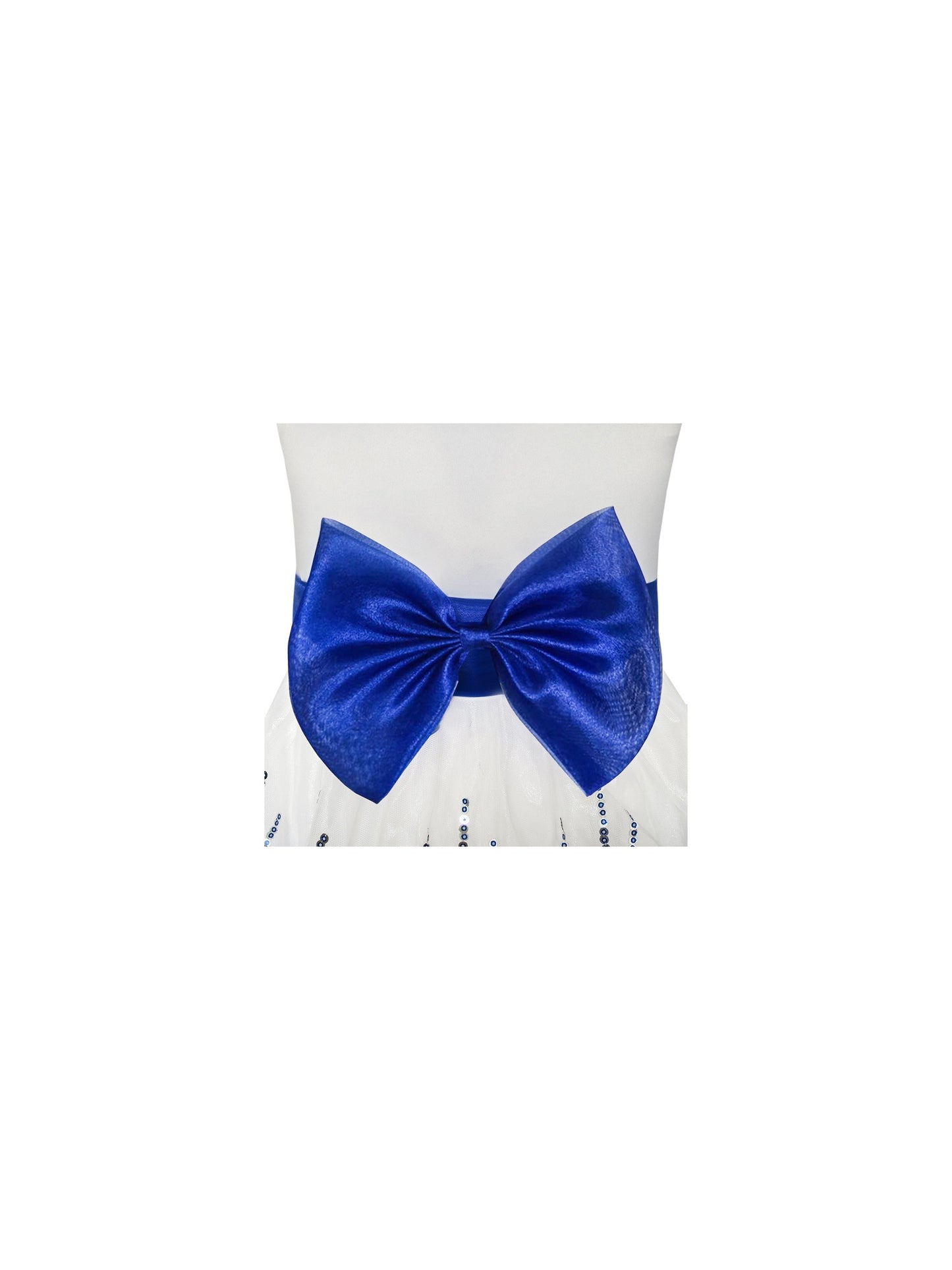 Flower Girls Dress Blue Sequin Dimensional Flowers Bow Tie Pageant Blue