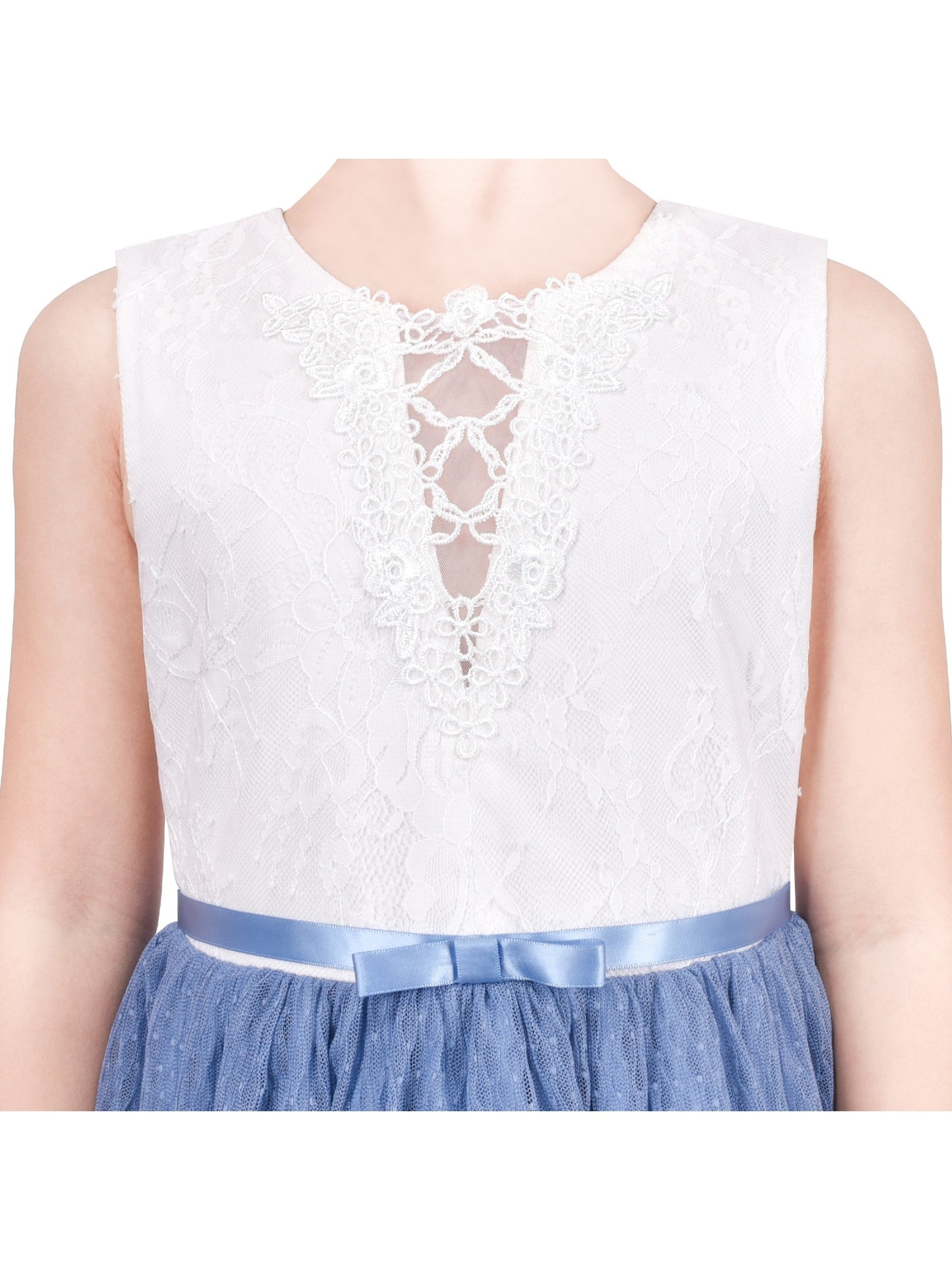Girls Dress Purple Lace V Neck Tulle Layered Party Wedding Birthday Pageant Blue