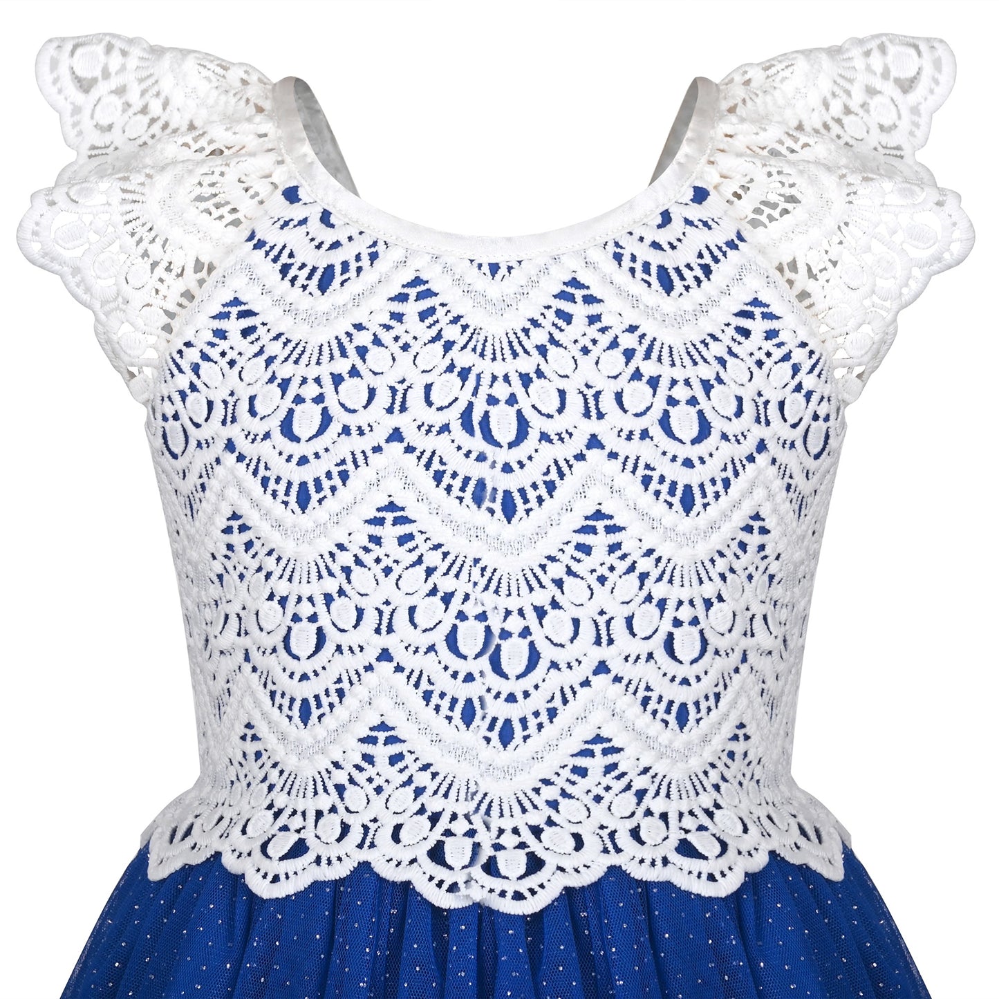 Girls Dress Rose Red Lace Tulle Hollow Elegant Party Pageant Ceremony Blue