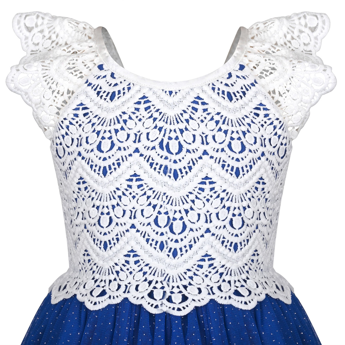 Girls Dress Rose Red Lace Tulle Hollow Elegant Party Pageant Ceremony - Blue Lace