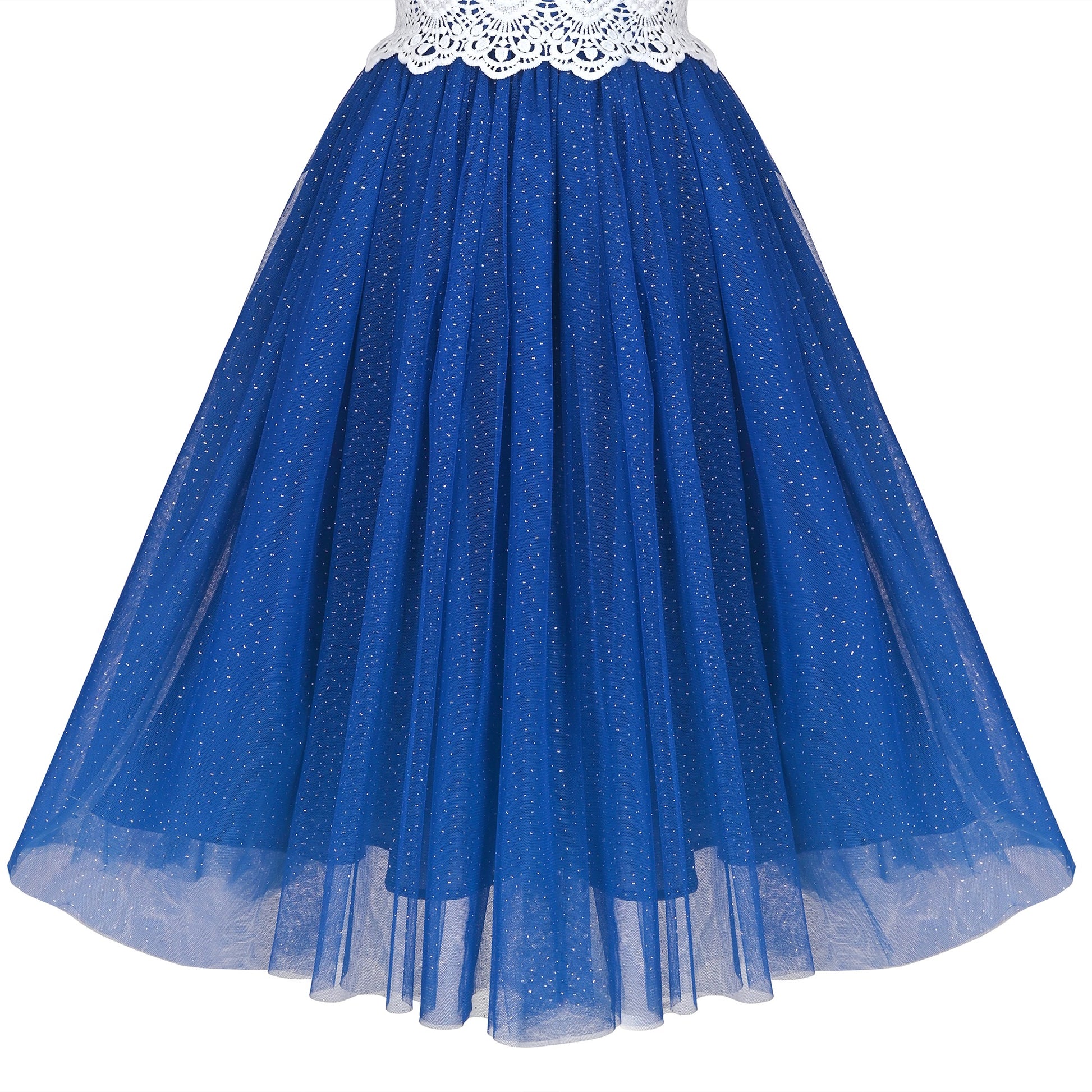 Girls Dress Rose Red Lace Tulle Hollow Elegant Party Pageant Ceremony Blue