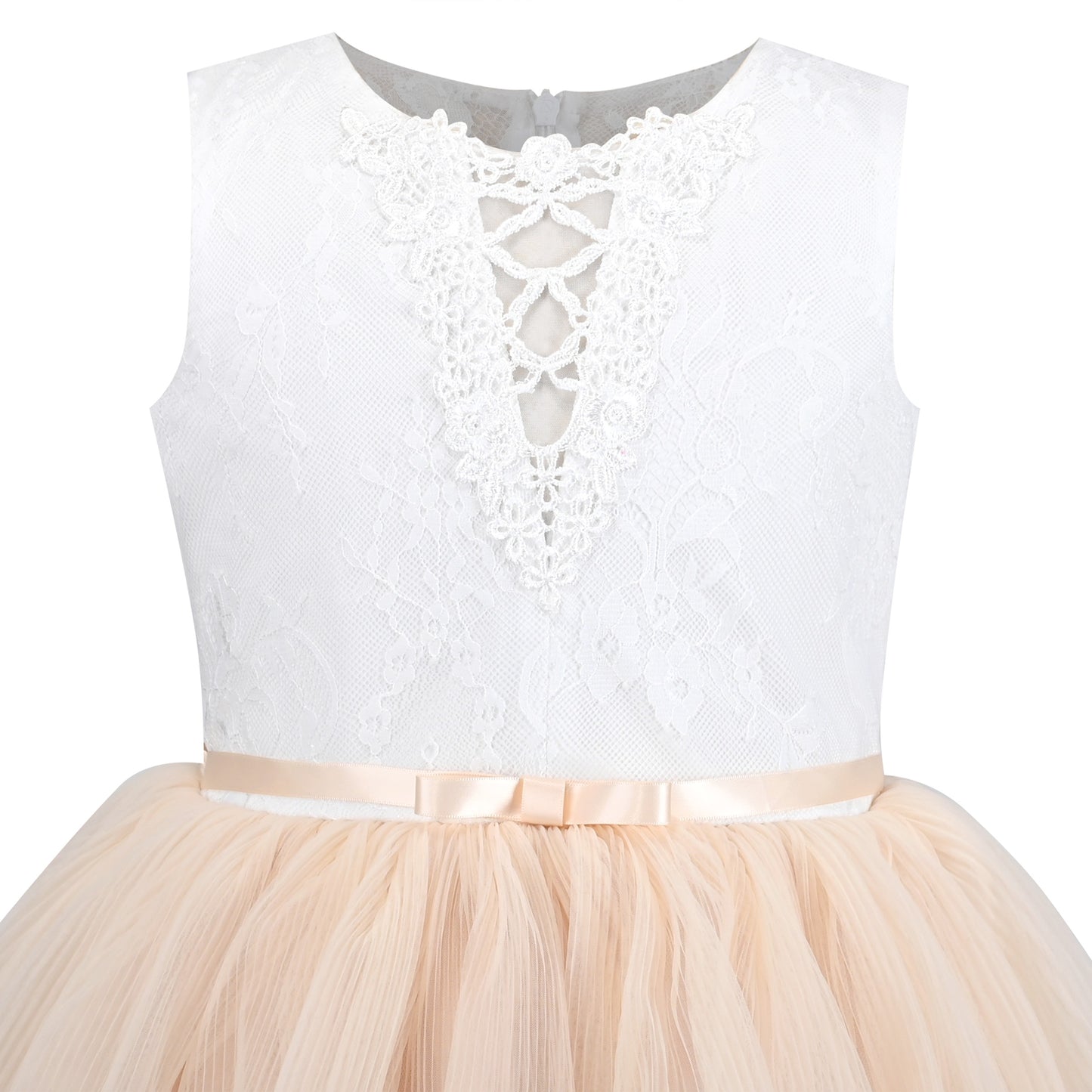 Girls Dress Purple Lace V Neck Tulle Layered Party Wedding Birthday Pageant Beige