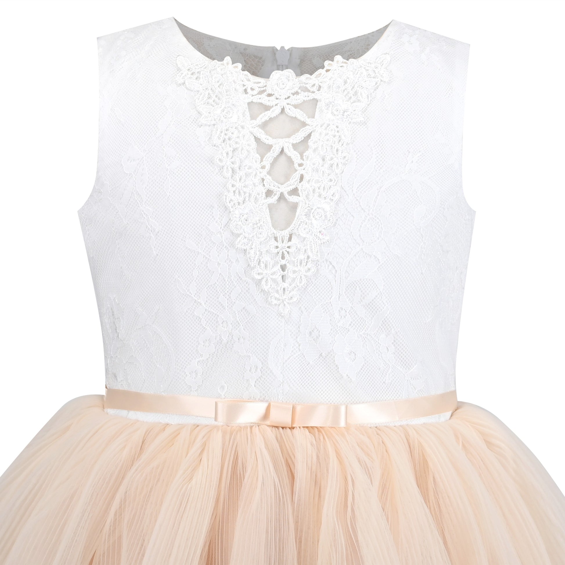 Girls Dress Purple Lace V Neck Tulle Layered Party Wedding Birthday Pageant Beige