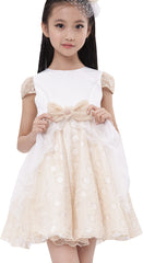 Girls Dress Bow Tie With Beading Lace Skirt Wedding Beige Size 4-10 Years