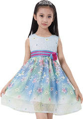 Girls Dress A-line Flower Detailing Rose Striped Princess Blue Size 4-10 Years
