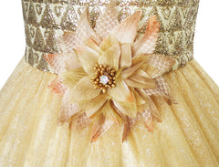 Flower Girls Dress Glitter Champagne Tulle Wedding Pageant Size 3-14 Years
