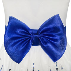Flower Girls Dress Blue Sequin Dimensional Flowers Bow Tie Pageant Size 7-14 Years