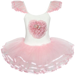 Girls Dress Cute Tutu Dancing Pink Heart Party Size 2-8 Years