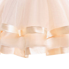 Girls Dress Champagne Red Ball Gown Wedding Party Pageant Size 6-12 Years