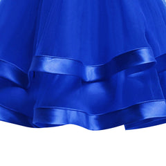 Girls Dress Royal Blue Ball Gown Wedding Party Pageant Size 6-12 Years