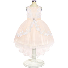 Flower Girl Dress Lace Hi-low Skirt Champagne Wedding Pageant Size 6-12 Years